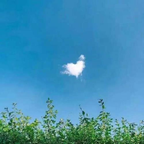 好听的qq个性签名