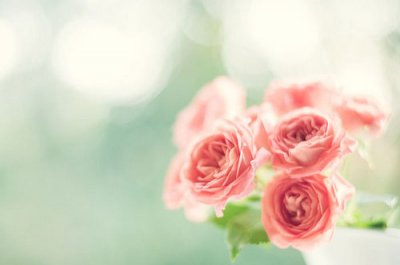 ​比喻句摘抄二年级64句