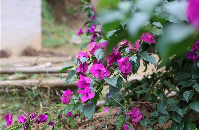 伤感忧伤的女生抖音网名(精选431个)