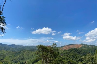 ​好听不厌的二字网名(精选641个)