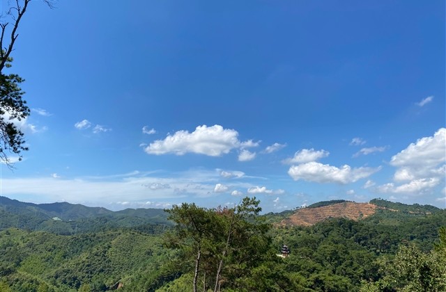 好听不厌的二字网名(精选641个)