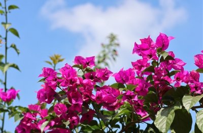 ​昵称男生低调简单伤感网名(优选466个)