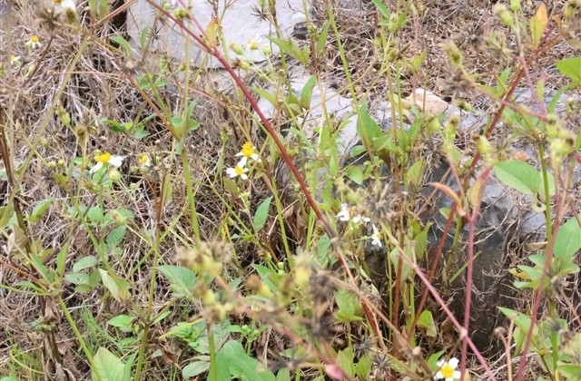 看一眼就难忘的昵称(精选359个)