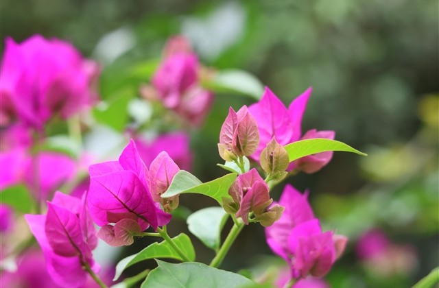 2023独一无二的吃鸡名字(共351个)