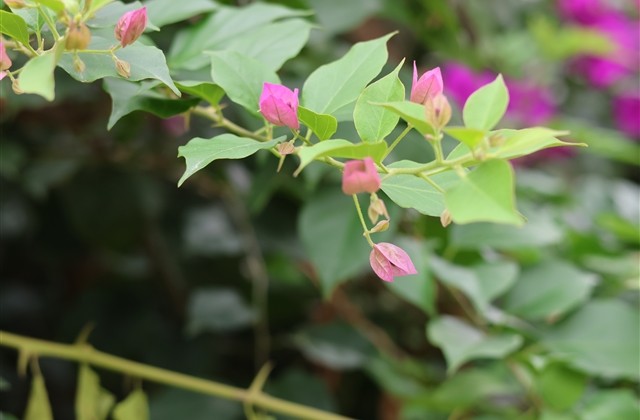 让人眼前一亮的微信网名(精选222个)