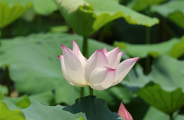 可爱个性网名大全女生版带符号(精选170个)