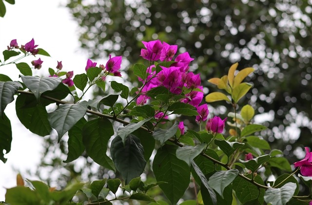 qq空间情侣网名(精选106个)