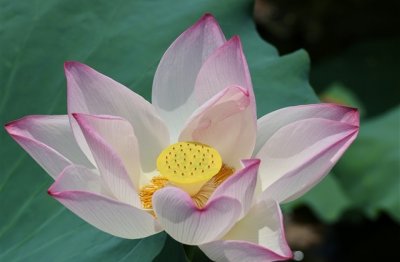 ​B站五个字网名(精选195个)