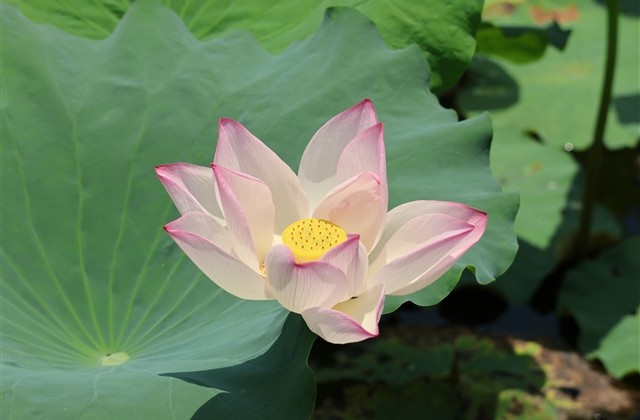 B站五个字网名(精选195个)