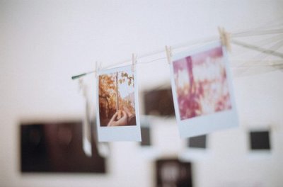 ​写一句爱护小鸟的话74句