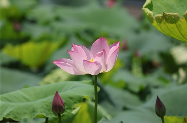 吃鸡名字搞怪一点的(共156个)