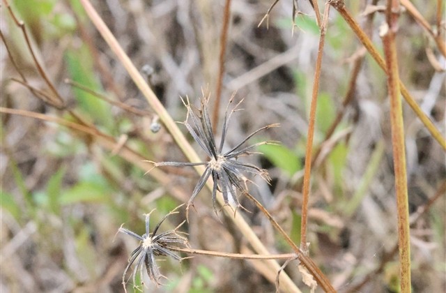 微信长网名大全