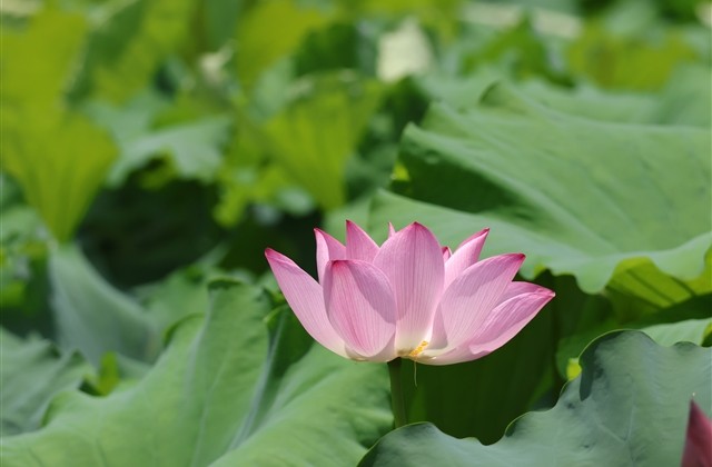 暖心文艺时尚男生网名(共173个)