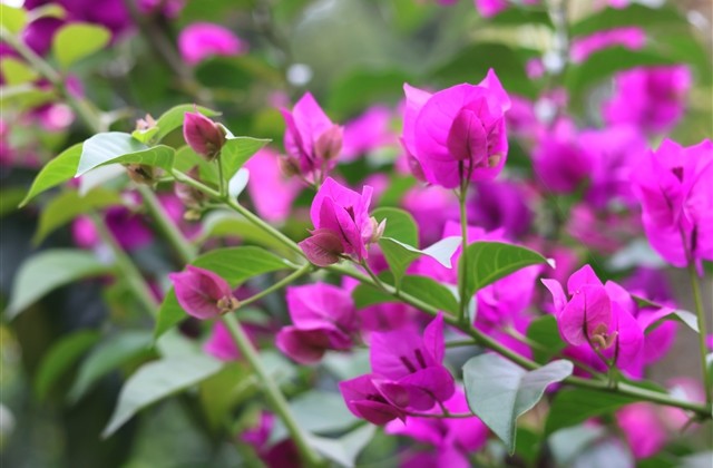 男孩女孩个性阳光网名大集(优选179个)