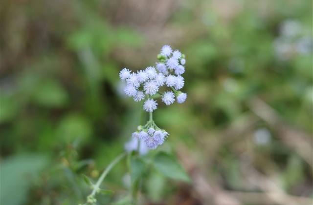 男孩女孩个性阳光网名大集(优选179个)