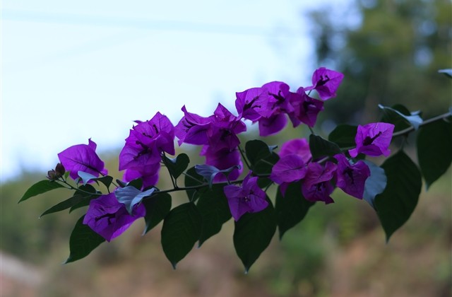 男孩女孩个性阳光网名大集(优选179个)