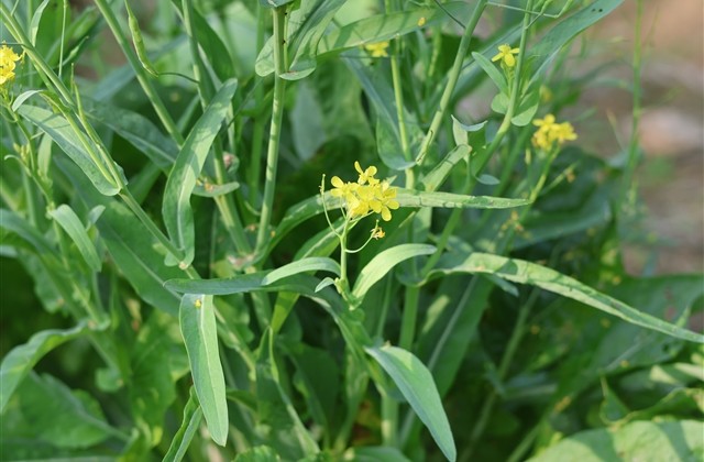 我的挚爱qq网名大全(共147个)