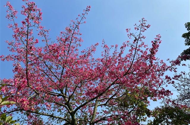 好听的情侣网名