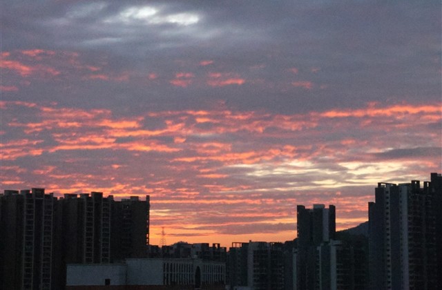 qq飞车手游稀少二字id(共223个)