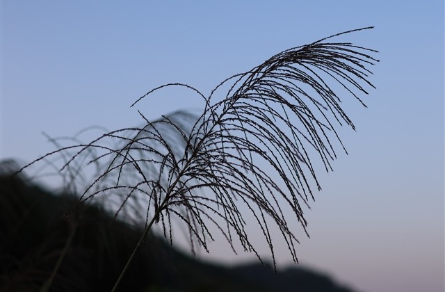 好听又可爱的网名女生