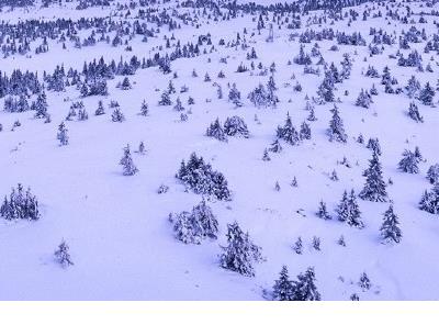 本年朋友圈祝福语