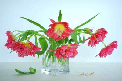 ​感慨现实生活的句子,精辟犀利,让你看透人心!