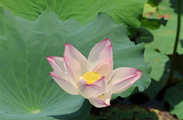 冷门高级的网名(共70个)