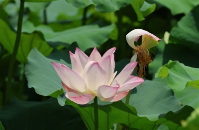 ​个性网名女生超长网名(共44个)