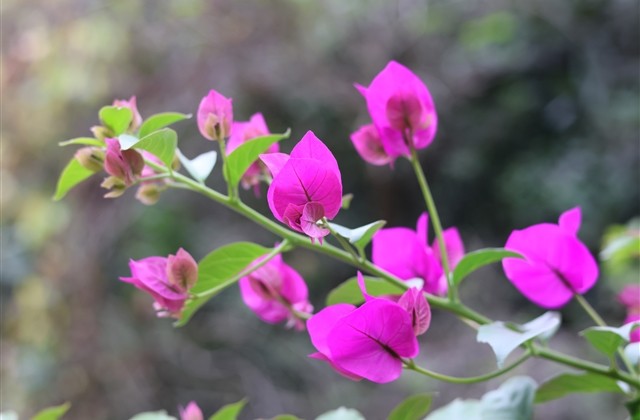 ins风高级感网名