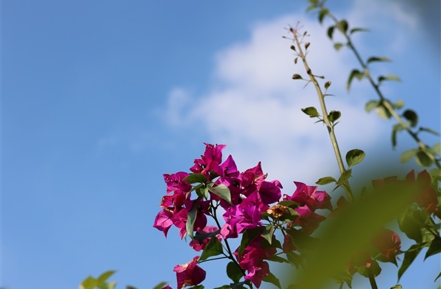 好听的8字游戏名字