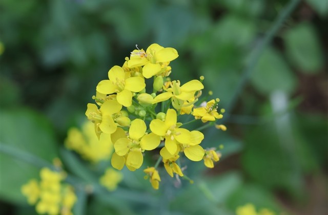 好听的8字游戏名字