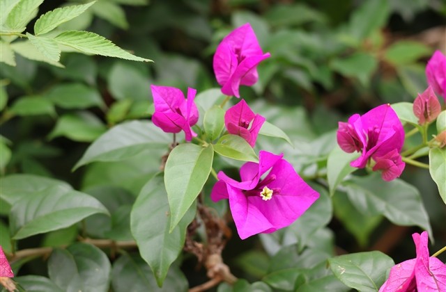 伤感女生符号网名(共76个)