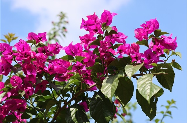 冷血无情的网名(优选86个)