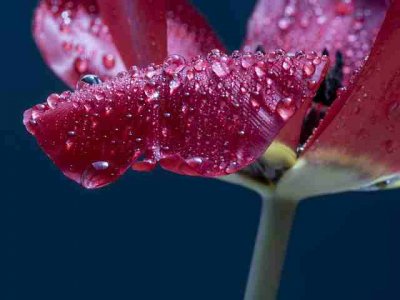 ​很棒很舒心的朋友圈短句 舒心的句子简短