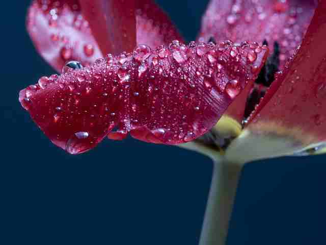 很棒很舒心的朋友圈短句 舒心的句子简短