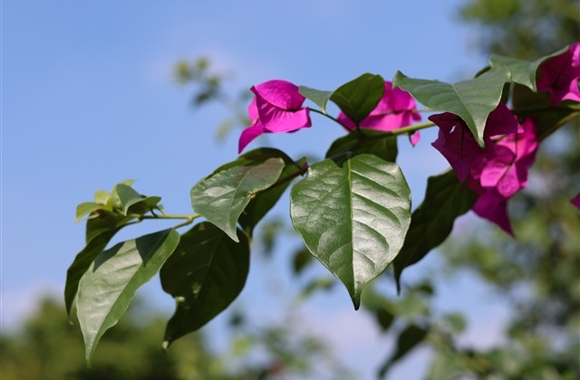 家庭幸福网名昵称大全(精选93个)