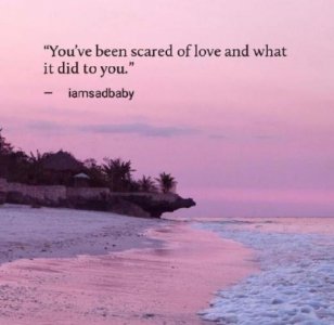 ​爱情的经典语录(关于爱情的甜美句子)