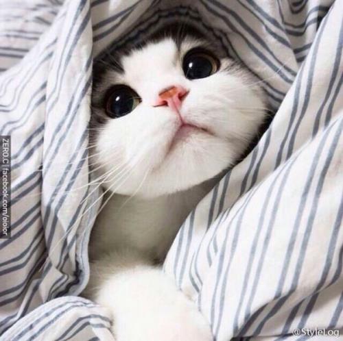 关于高考的励志句子