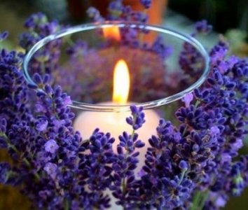 ​被亲人伤透了心的句子