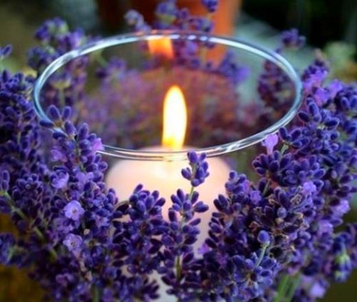 被亲人伤透了心的句子