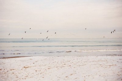 ​想死的签名80句