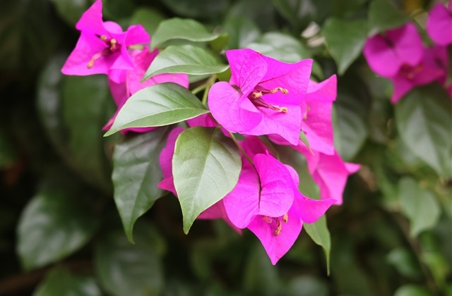 最长的网名精选