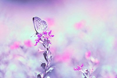 ​谚语与警句86句