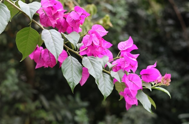 微信网名 男生 昵称