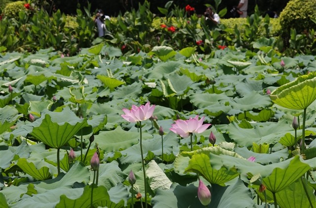 帅气的网名超拽霸气