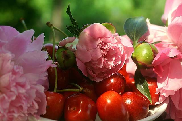 比较妩媚的网名