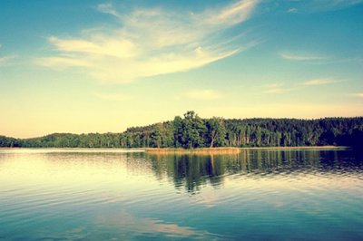 ​女人想听的话82句