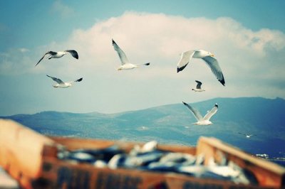 ​适合当性签名的歌词84句