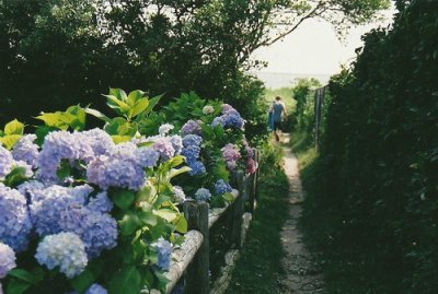 ​桥孔里插扁担歇后语29句