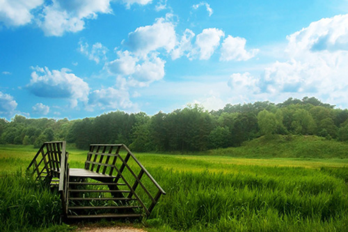 排比句大全雨45句